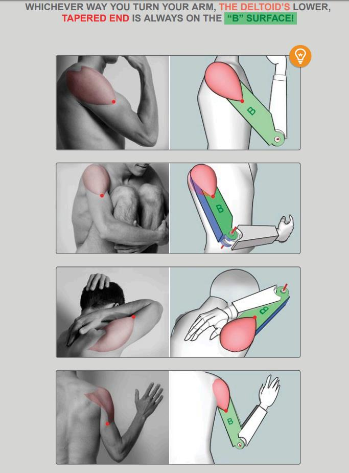 Deltoid tracker placement.