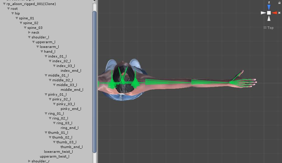 shows the rigging of the avatar model. This is necessary so that the mesh of the model can 